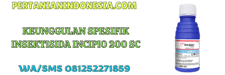 keunggulan,kelebihan,pestisida jenis insektisida,syngenta incipio,pertanian indonesia